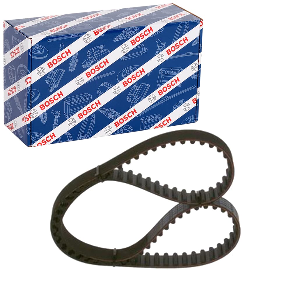 سير كاتينة بوش 1987948761