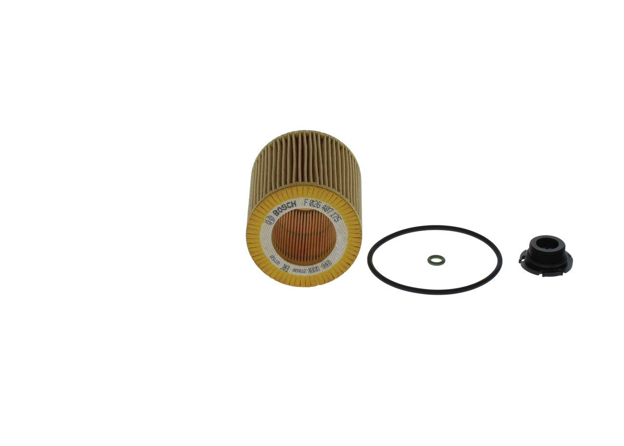 فلتر زيت حشو بوش F026407175 - BMW 3-Series F30 (B20), 5-Series F10 (B20)