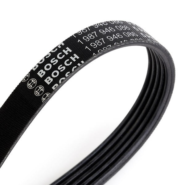 سير دينامو بوش 1987946086