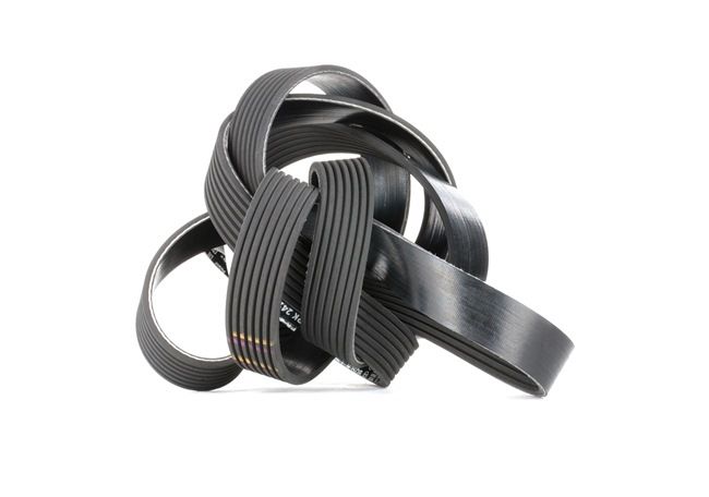 سير دينامو بوش 1987946263