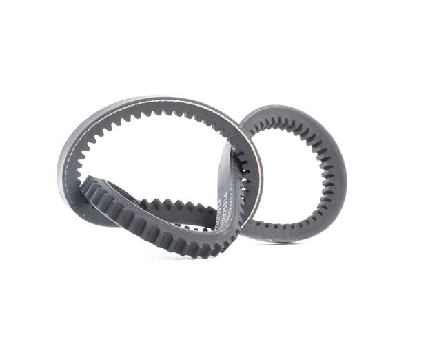 سير دينامو بوش 1987947648