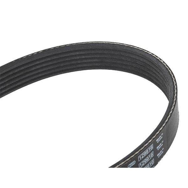 سير دينامو بوش 1987948437