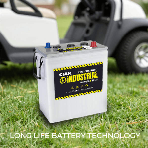 TRACTION BATTERY CIAK INDUSTRIAL 8V 160AH / 210AH (C5 / C20) TUBULAR TE